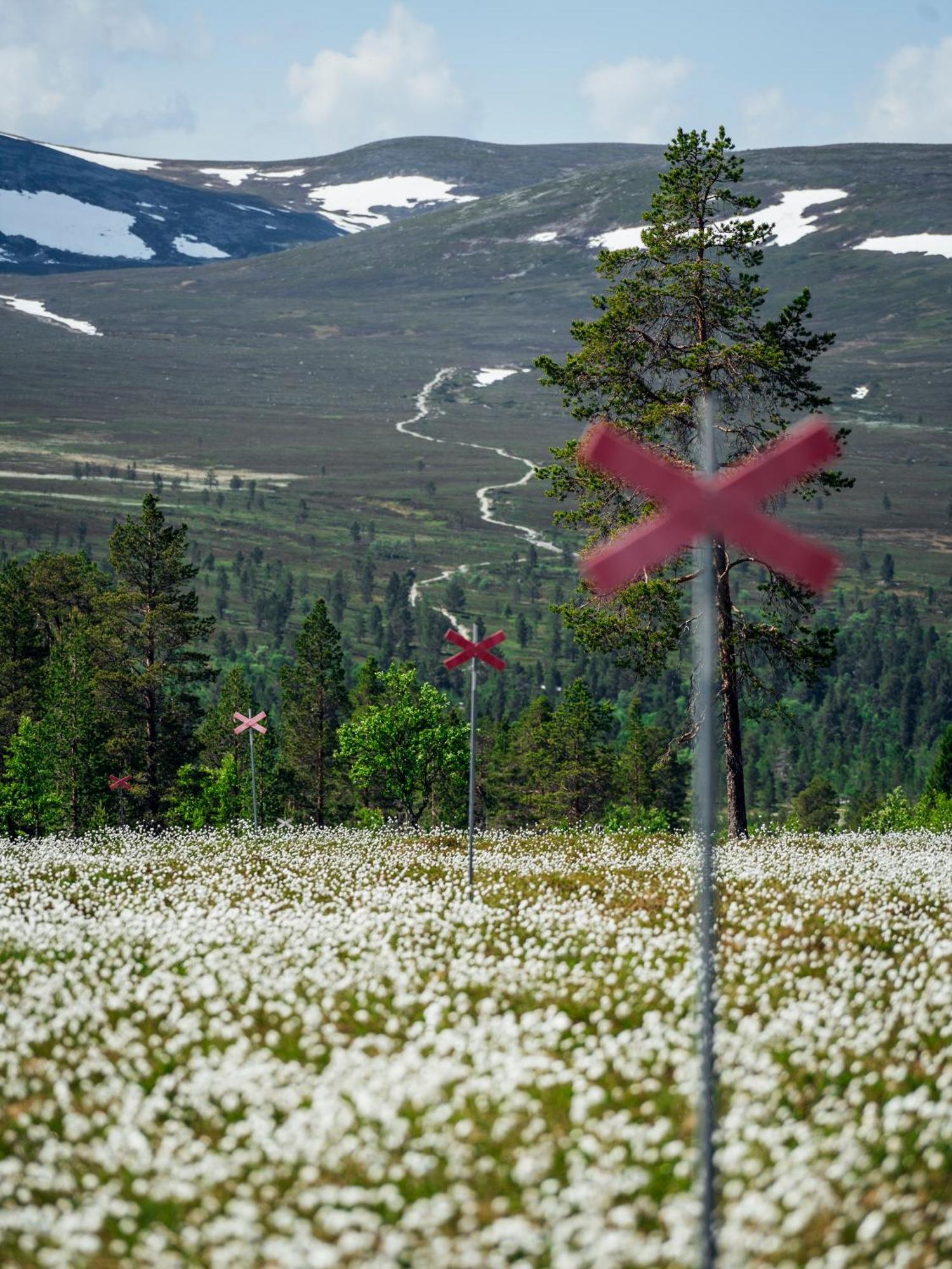 Loevasgardens Fjaellhotell Lovasen Екстер'єр фото